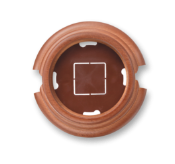 Бук медового цвета